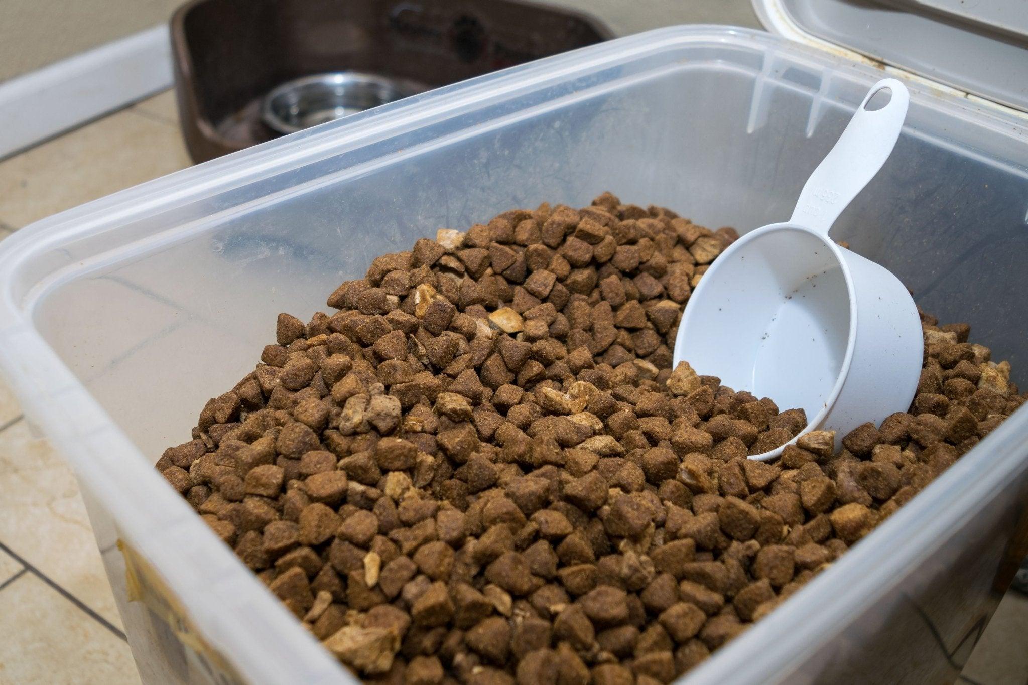 Krokante en geperste brokken: welke kies je voor je hond? - Fidello