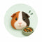Caviavoer