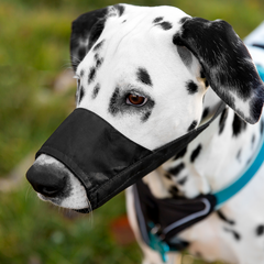 Muilkorven voor honden