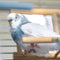Spiegels voor vogels