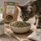 Catnip (kattenkruid) & kattengras