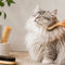 Kammen & borstels katten