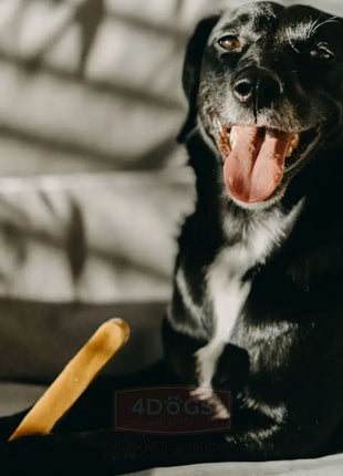 4DOGS Gryzak z sera himalajskiego Churpi Original S