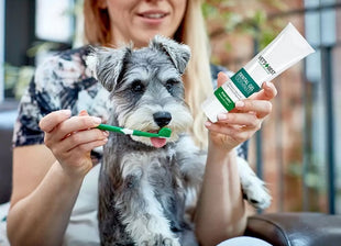 Vet's Best Dental żel + szczoteczka zestaw Adult