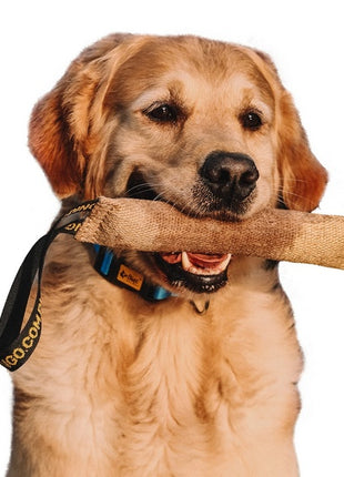 Dingo Zabawka dla psa - Szarpak z juty z uchwytem 28/6cm