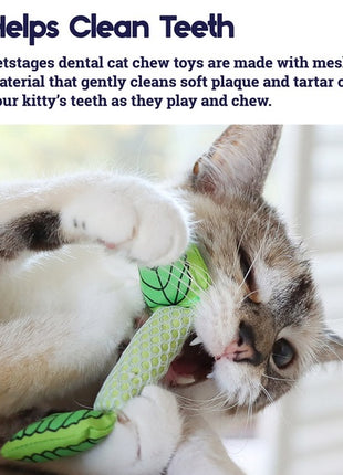 Petstages Miętowa strzała PS335