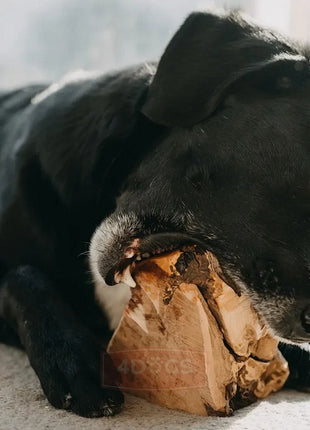 4DOGS Gryzak z korzenia drzewa wrzosowego S