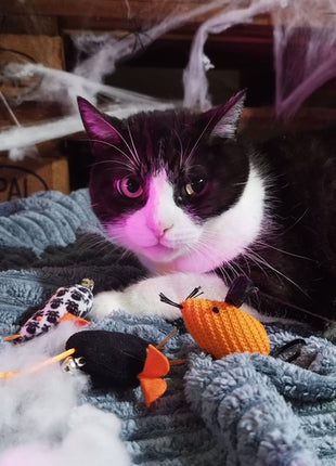 Dingo Zabawka dla kota - Myszki z Salem 3szt