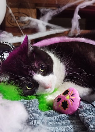 Dingo Zabawka dla kota - Wędka Upiorek