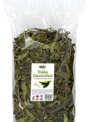 Alegia Babka lancetowata 300g