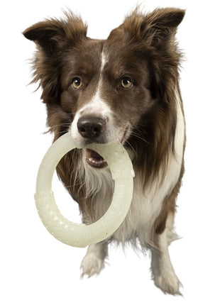 Kiwi Walker Let's Play Glow Ring Maxi