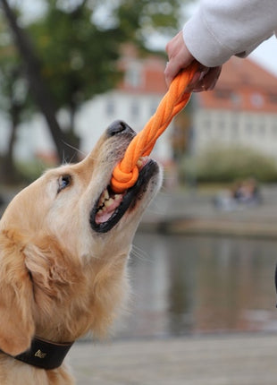 Dingo Zabawka dla psa - Ringo zaplatane Energy 18cm pomarańczowe