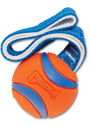 Chuckit! Ultra Tug Small [231101]