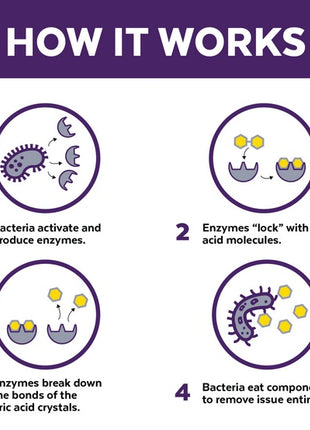 Urine Off Cat & Kitten Formula - do usuwania plam moczu 118ml