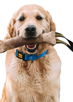 Dingo Zabawka dla psa - Szarpak z juty z uchwytem 40/6cm