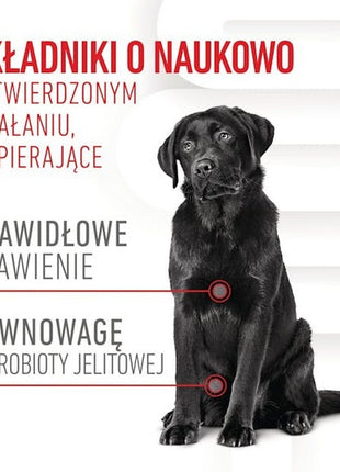 Royal Canin Digestion Chews Adult Supplements 160g