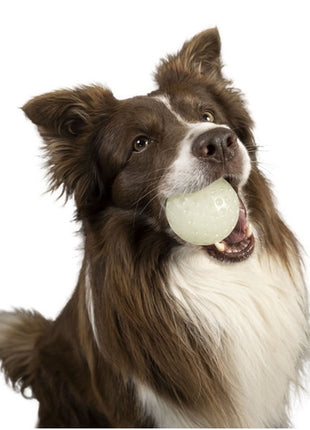 Kiwi Walker Let's Play Glow Ball Maxi piłka