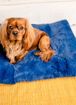 MIMIKO Pets Legowisko Shaggy prostokątne XL 85x65cm chabrowe