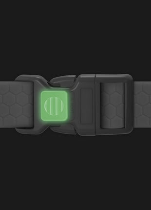 Collar Waterproof Obroża wodoodporna z QR-paszportem, plastikowy fastex, L 25mm/33-49cm jasnozielona