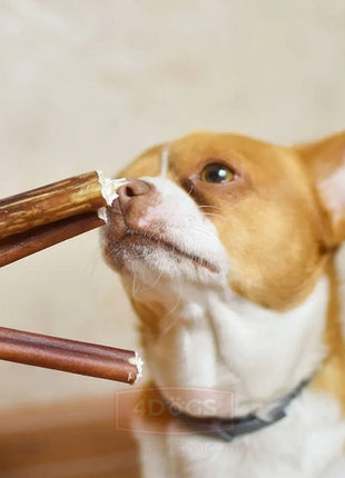 4DOGS Gryzak z penisa wołowego S