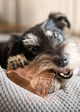 4DOGS Gryzak z korzenia drzewa wrzosowego XL