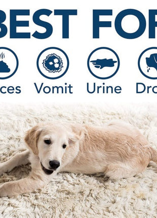 Simple Solution Extreme Stain & Odour Remover - preparat neutralizujący plamy i zapachy 954ml