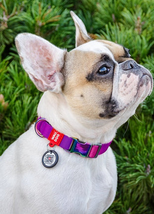 Collar WauDog Recycled Obroża nylonowa z QR-paszportem, gradient L 25mm/33-49cm fioletowy