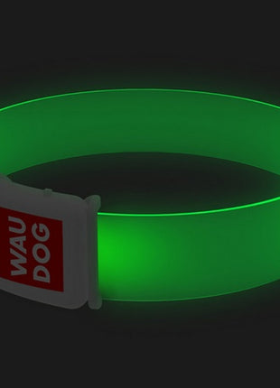 Collar WauDog LED Obroża z podświetleniem LED, klamra magnetyczna, 25mm/45cm