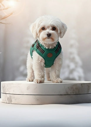 Zolux Kurtka puchowa z szelkami dla psa R.30 niebieska