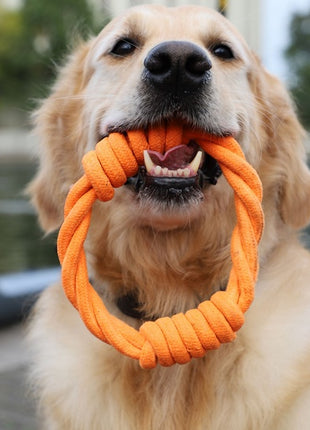 Dingo Zabawka dla psa - Ringo zaplatane Energy 18cm pomarańczowe