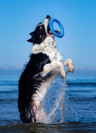 Kiwi Walker Let's Play Ring Maxi niebieski