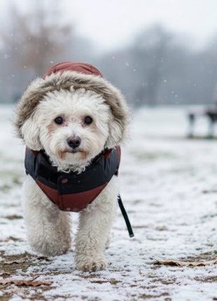 Zolux Kurtka puchowa dla psa New Mountain R.30 ceglasta