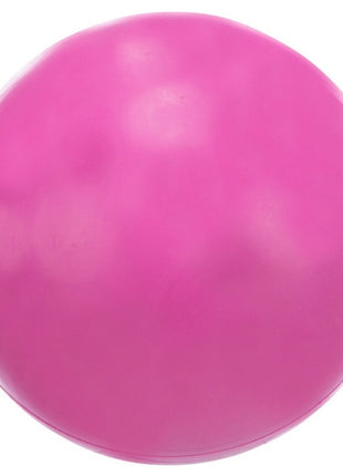 Trixie Piłka gumowa 7cm twarda [3302]