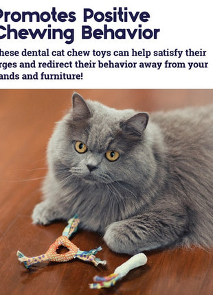 Petstages Gryzaki do higieny zębów kota PS326