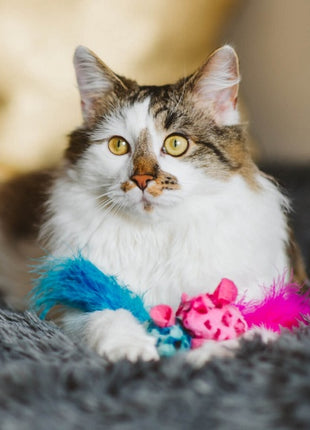 Dingo Zabawka dla kota - Kolorowe myszki 2szt różowa i niebieska