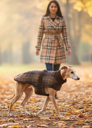 Zolux Kurtka w kratę dla psa Cheverny R.40 brązowa