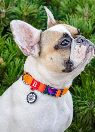 Collar WauDog Recycled Obroża nylonowa z QR-paszportem, gradient M 20mm x 28-40cm pomarańczowy