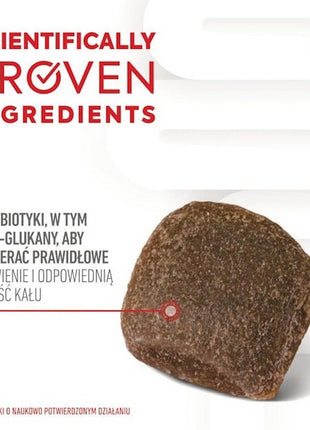 Royal Canin Digestion Chews Adult Supplements 160g