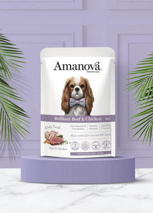 Amanova Dog Adult Brilliant Beef & Chicken - wołowina i kurczak saszetka 100g [P01]