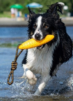 Kiwi Walker Let's Play Zeppelin Maxi aport pomarańczowy