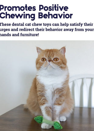 Petstages Miętowa strzała PS335