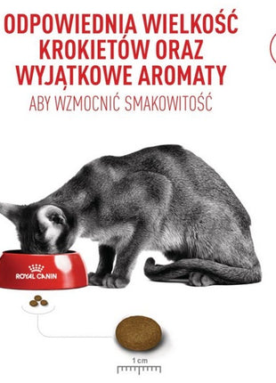Royal Canin Fussy Exigent karma sucha dla kotów dorosłych, wybrednych 2kg