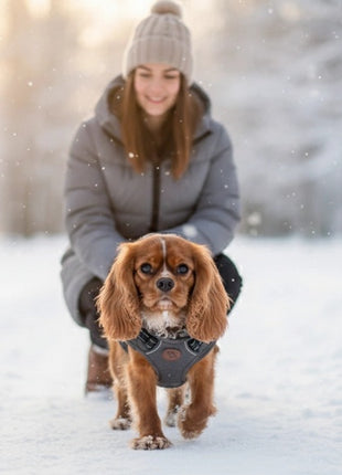 Zolux Kurtka puchowa z szelkami dla psa R.35 szara