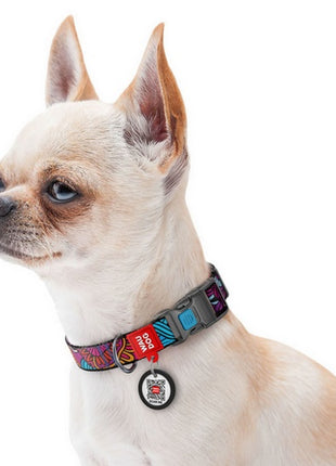 Collar WauDog Nylon Obroża nylonowa z QR-paszportem, plastikowy fastex, wzór LATO, 25mm/33-49cm
