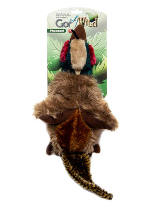 Gor Wild Pheasant