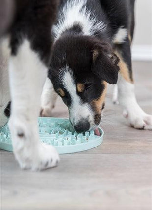 Trixie Junior Likplaat Mintgroen