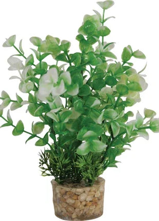 Zolux Ornament Pastic Plant Op Stenen Vrolijk Assorti