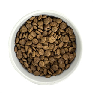 Budget Premium Quality Senior Cat Food – 1 kg – For Older and Sterilized Cats