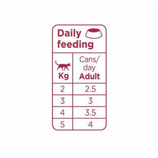 Prins Chunky Pate Chicken / Turkey