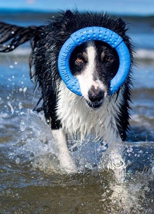 Kiwi Walker Let's Play Ring Mini niebieski